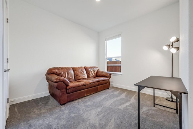 living area featuring baseboards and carpet flooring