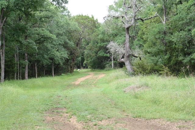 216 Salle Ave, Buda, TX 78610 - photo 33