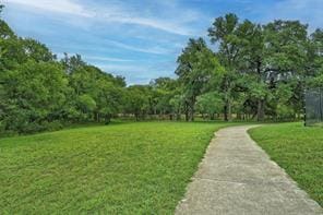 216 Salle Ave, Buda, TX 78610 - photo 35