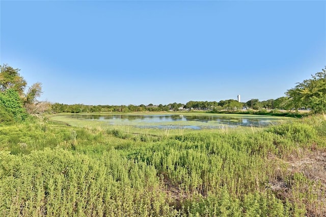 216 Salle Ave, Buda, TX 78610 - photo 37
