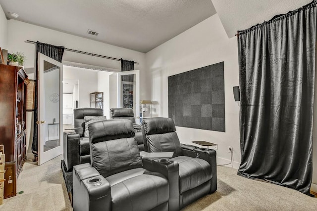 518 Bay Breeze Dr, Kyle, TX 78640 - home theater with light colored carpet and a textured ceiling