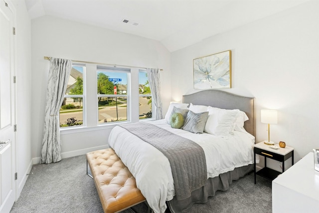 128 Mountain Lion Rd, Georgetown, TX 78628 - bedroom featuring vaulted ceiling and carpet floors