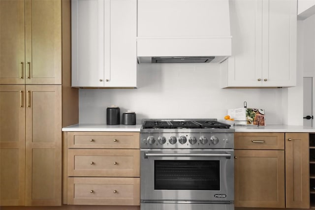 kitchen featuring high end stainless steel range, custom exhaust hood, and light countertops