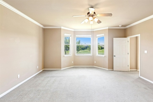 1901 Windberry Path, Round Rock, TX 78665 - photo 16