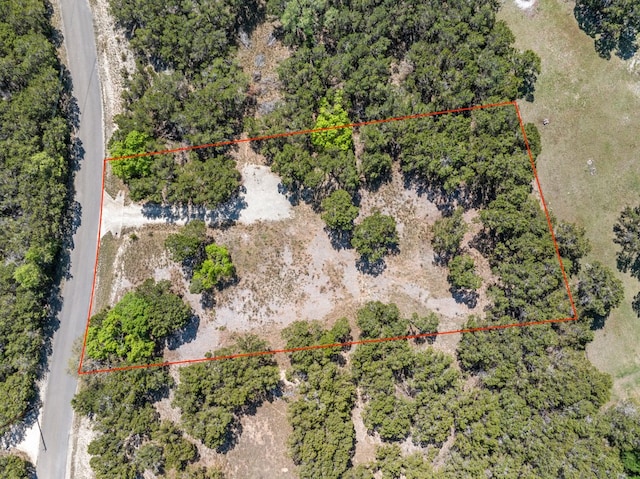 716 Ridge Oak Dr, Wimberley, TX 78676 - photo 12