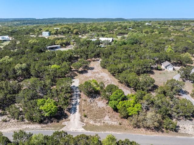 716 Ridge Oak Dr, Wimberley, TX 78676 - photo 13