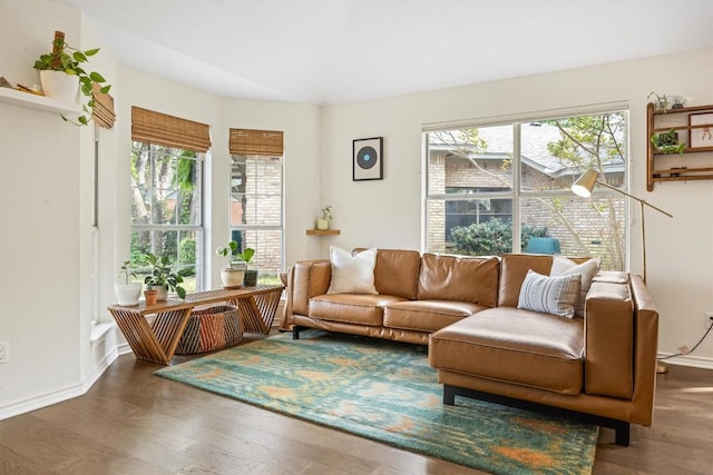 7306 Holly Fern Cv, Austin, TX 78750 - living room featuring plenty of natural light and wood finished floors