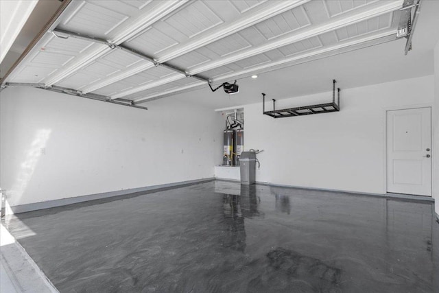 1007 Sandra Ann Way, Hutto, TX 78634 - garage featuring water heater and a garage door opener