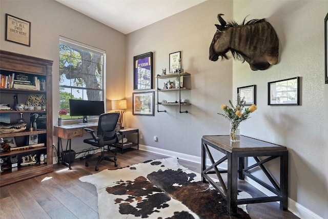 577 Shelf Rock Rd, Driftwood, TX 78619 - office featuring wood finished floors and baseboards