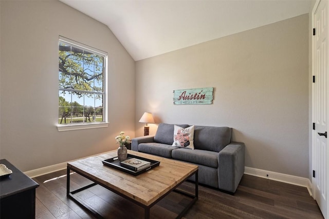 577 Shelf Rock Rd, Driftwood, TX 78619 - living room with vaulted ceiling, dark wood-style flooring, and baseboards