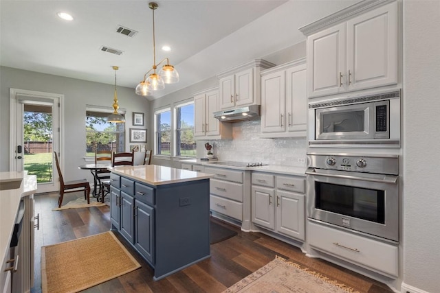577 Shelf Rock Rd, Driftwood, TX 78619 - kitchen with stainless steel appliances, under cabinet range hood, white cabinetry, dark wood-type flooring, and decorative backsplash
