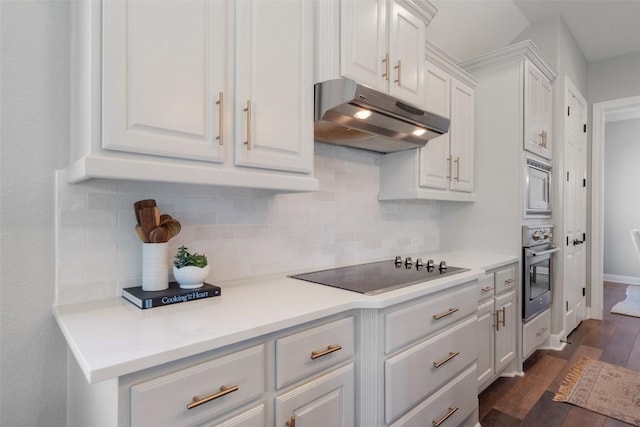 577 Shelf Rock Rd, Driftwood, TX 78619 - kitchen with under cabinet range hood, stainless steel appliances, white cabinetry, dark wood-style floors, and backsplash
