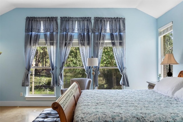 119 Maple Leaf Trl, Elgin, TX 78621 - bedroom featuring vaulted ceiling