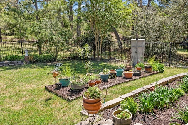 119 Maple Leaf Trl, Elgin, TX 78621 - view of yard
