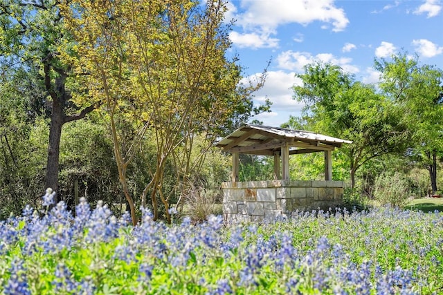 119 Maple Leaf Trl, Elgin, TX 78621 - view of home's community with a gazebo