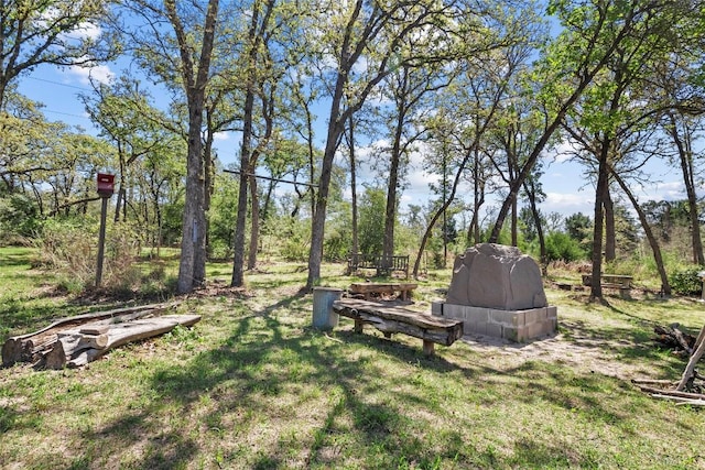 119 Maple Leaf Trl, Elgin, TX 78621 - view of grassy yard