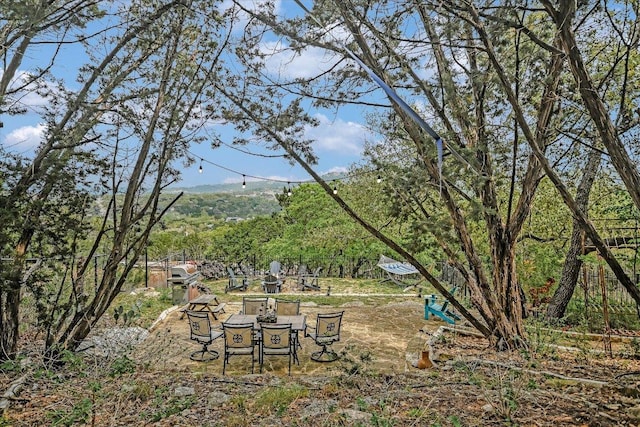 7404 Little Oak Cir, Lago Vista, TX 78645 - view of yard