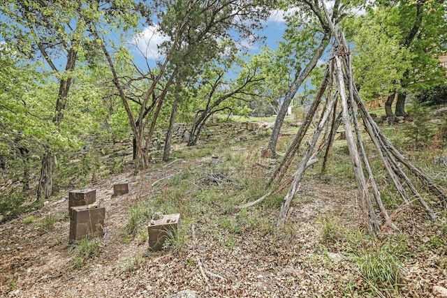 7404 Little Oak Cir, Lago Vista, TX 78645 - view of local wilderness