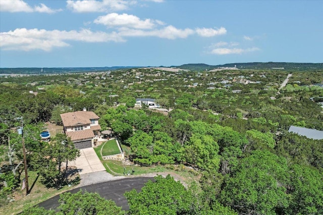 7404 Little Oak Cir, Lago Vista, TX 78645 - drone / aerial view of a forest