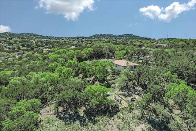 7404 Little Oak Cir, Lago Vista, TX 78645 - view of mountain background with a forest