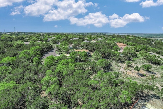 7404 Little Oak Cir, Lago Vista, TX 78645 - aerial view of a forest