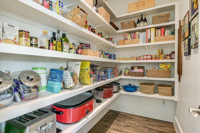 518 Doe Whisper Way, Austin, TX 78738 - view of pantry
