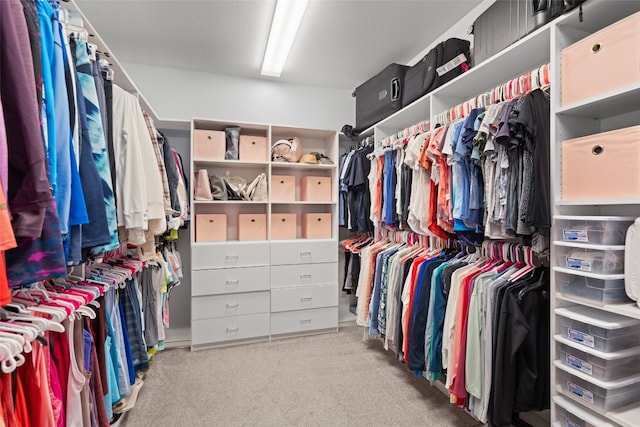 104 Atlanta Park Dr, Georgetown, TX 78628 - walk in closet with carpet flooring