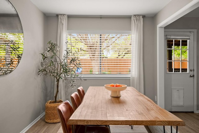 dining area with wood finished floors, a healthy amount of sunlight, and baseboards