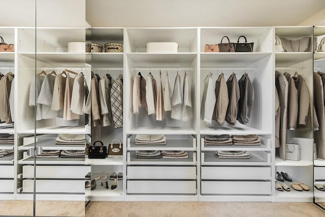 12325 Labrador Bay Ct, Austin, TX 78732 - view of closet