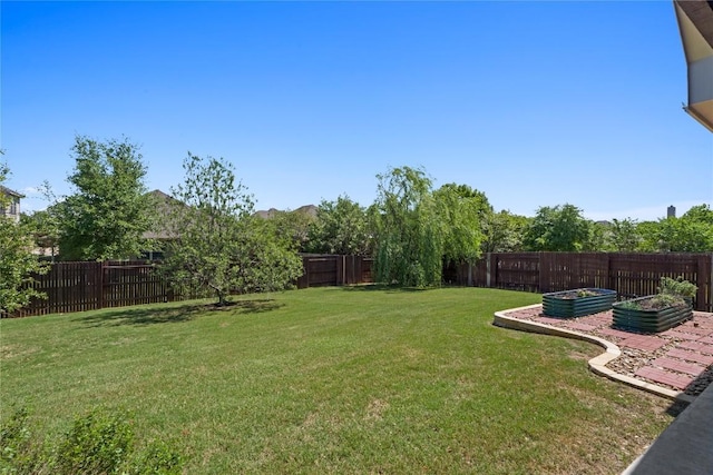 118 Bluehaw Dr, Georgetown, TX 78628 - view of yard with a garden