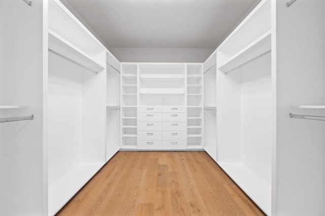 3500 Cactus Wren Way, Austin, TX 78746 - spacious closet featuring light wood-style floors