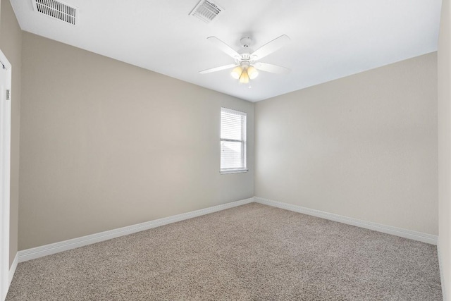 208 Blue Waterleaf Ln, Georgetown, TX 78626 - photo 13