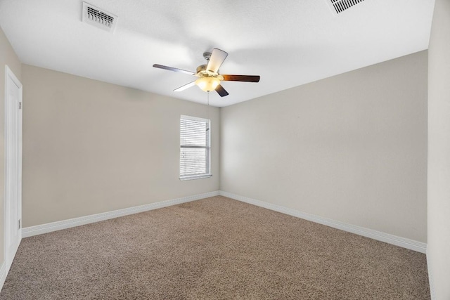 208 Blue Waterleaf Ln, Georgetown, TX 78626 - photo 14