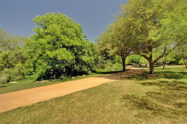 2204 Rick Whinery Dr, Austin, TX 78728 - view of community with a lawn