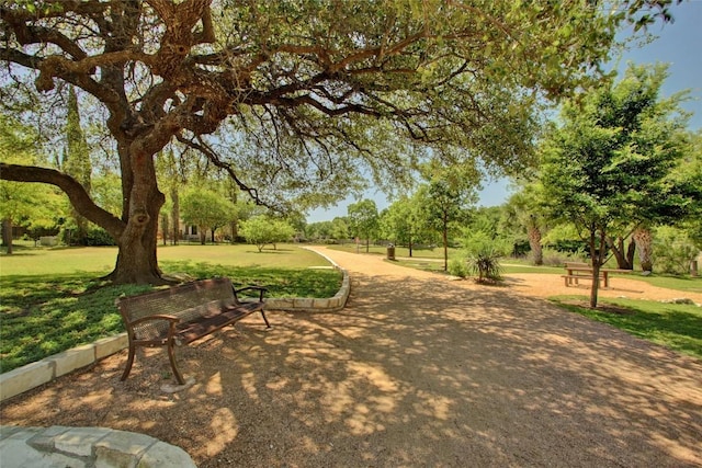 2204 Rick Whinery Dr, Austin, TX 78728 - view of property's community with a lawn and view of wooded area