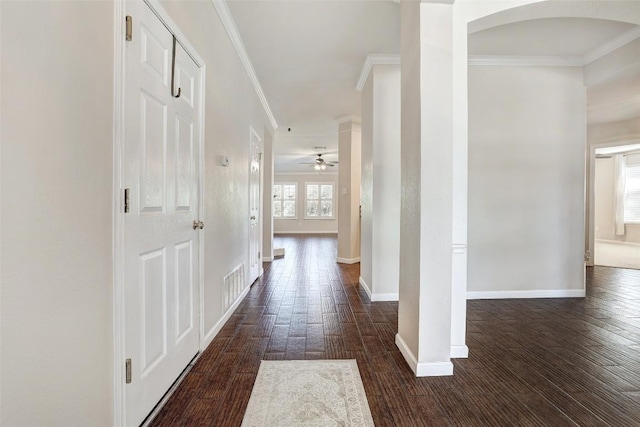 1600 Purple Iris Cv, Pflugerville, TX 78660 - photo 7