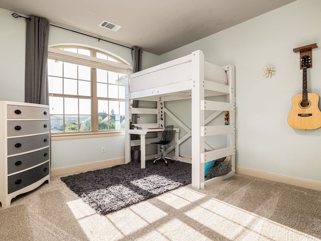 17012 Rush Pea Cir, Austin, TX 78738 - bedroom with carpet flooring, multiple windows, and baseboards