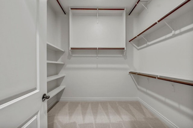 209 Aldea St, Georgetown, TX 78633 - spacious closet with carpet flooring