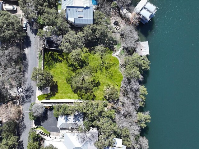 2002 Scenic Dr, Austin, TX 78703