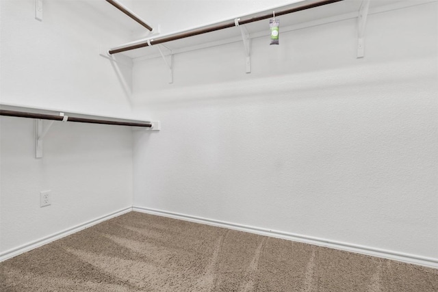 walk in closet with carpet