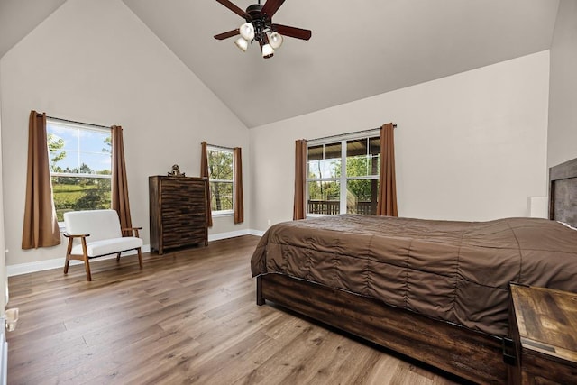 125 Brahman Ct, Bastrop, TX 78602 - bedroom with high vaulted ceiling, multiple windows, wood finished floors, and baseboards
