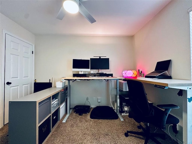 16903 Isle Of Man Rd, Pflugerville, TX 78660 - carpeted office with a ceiling fan