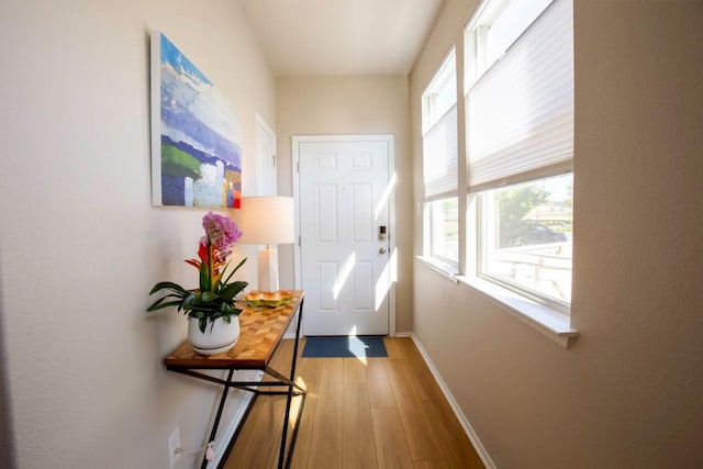 188 Catalina Dr, Kyle, TX 78640 - entryway with light wood-style floors, baseboards, and a wealth of natural light