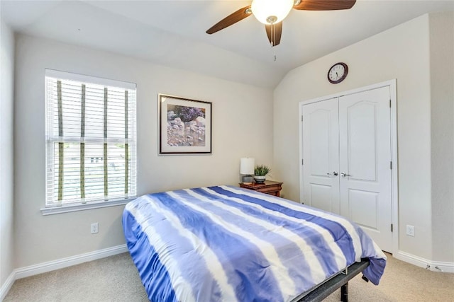 4829 Pyrenees Pass, Austin, TX 78738 - bedroom with light colored carpet, multiple windows, and a closet