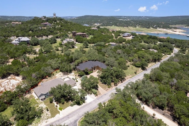 17109 Northlake Hills Dr, Jonestown, TX 78645 - photo 39