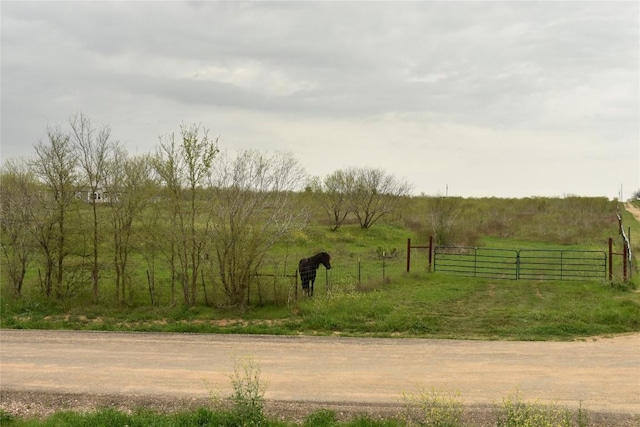 TBD Anderson Ln, Red Rock, TX 78662 - photo 1