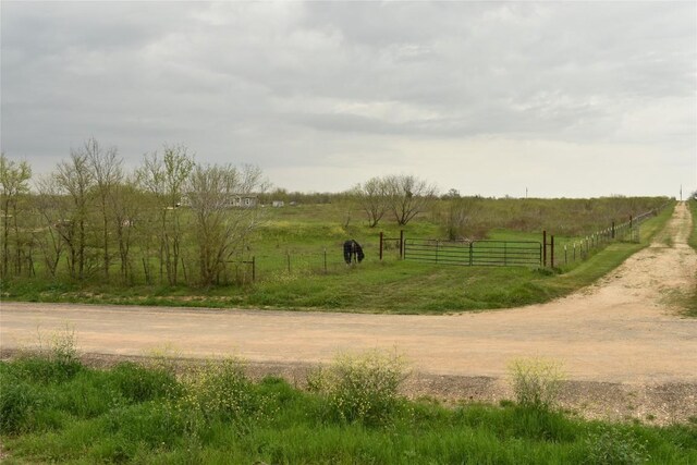 TBD Anderson Ln, Red Rock, TX 78662 - photo 2