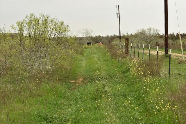 TBD Anderson Ln, Red Rock, TX 78662 - photo 4