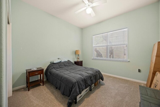 100 Egret Cv, Georgetown, TX 78633 - photo 23