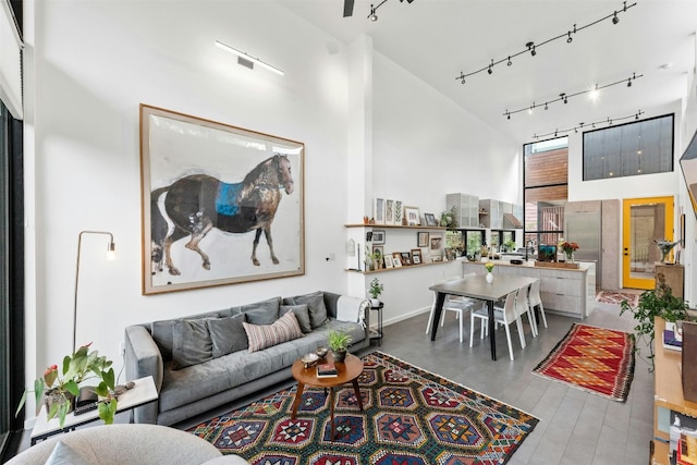 2311 Montclaire St Unit 2, Austin, TX 78704 - living room featuring track lighting, a high ceiling, and wood finished floors